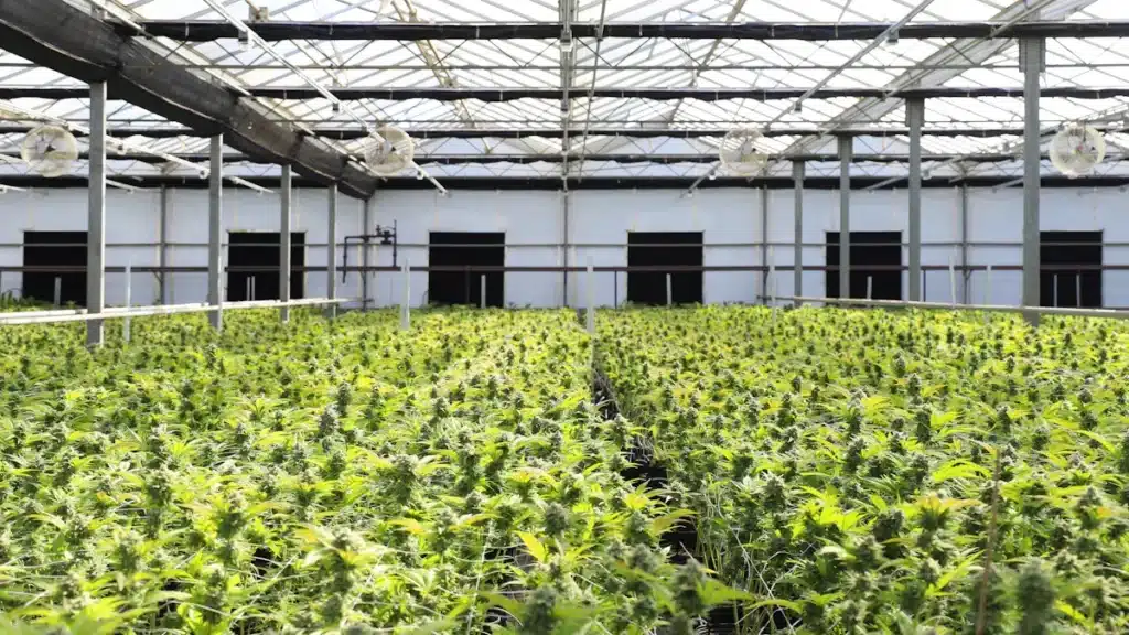Are There Smart Sourcing or Production Shifts to Consider Now?