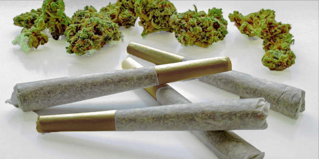 Top 5 África do Sul' style=