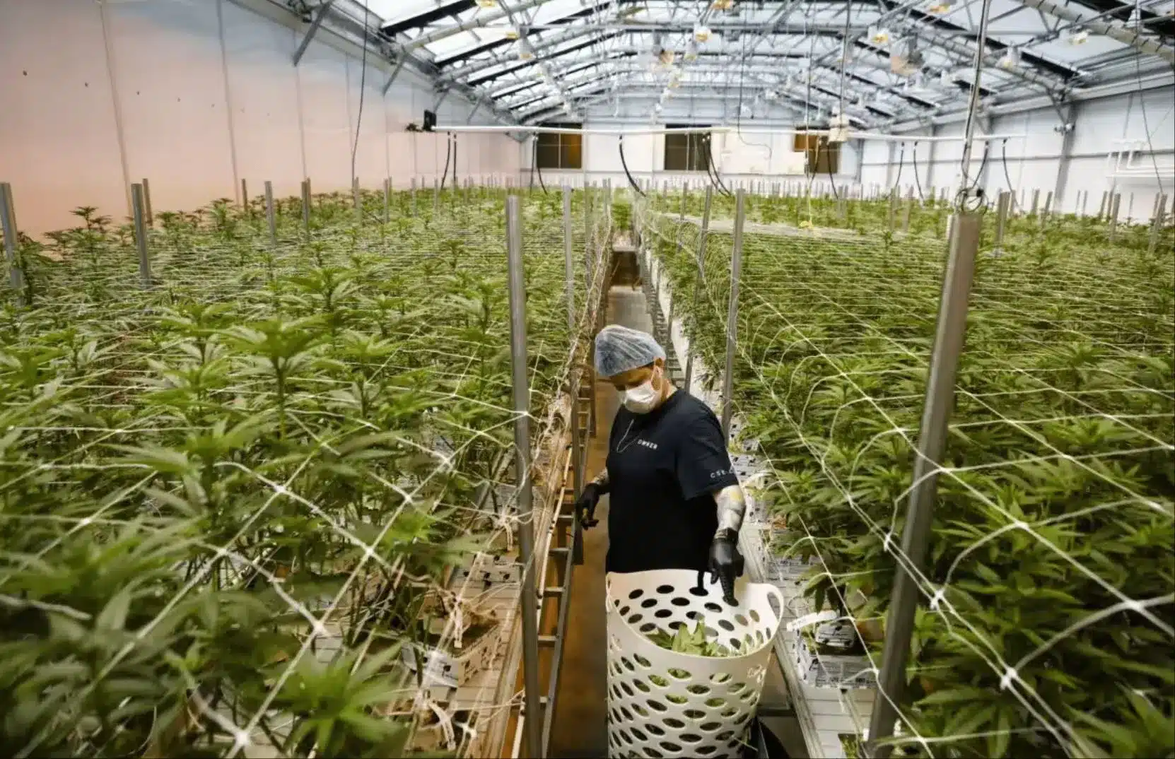 How U.S. Suppliers Compete with China on Pricing